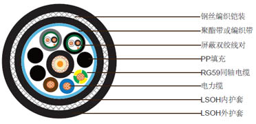 1xRG59 + 3x3电力电缆 + 2x1x2x24AWG数据线对，钢丝编织铠装低烟无卤护套组合电缆