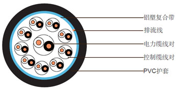 1x2x2.5电力电缆 + 9x1x2x1.0控制电缆,非铠装聚氯乙烯护套组合电缆