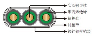 250℉/121℃ PP绝缘铅护套扁平潜油泵电缆